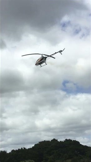 Flying t-Rex #shorts #flight #rcheli