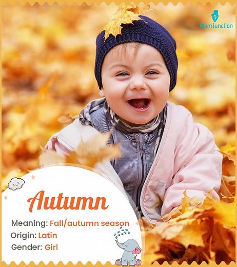 Autumn Meaning, Origin, History, And Popularity
