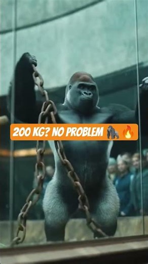 Man Lifts 200kg… Gorilla Lifts MORE! 🦍🔥 Crowd Shocked! #shorts #shortvideo