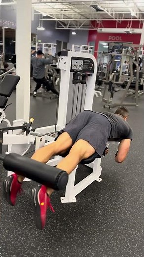 Lying Hamstring Curl