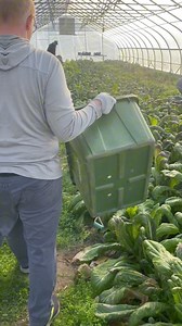 3.2K views · 35 reactions | On Wednesday morning we had an exciting...