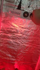 Watch Important points you should consider when choosing LED Grow light on Amazon Live