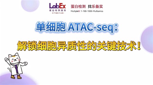单细胞 ATAC-seq 如何解决细胞异质性难题？生信俱乐部本期的实用思路分享