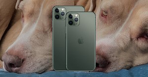 Deep Fusion Demo: Trying Out Apple's Computational Photography Tech