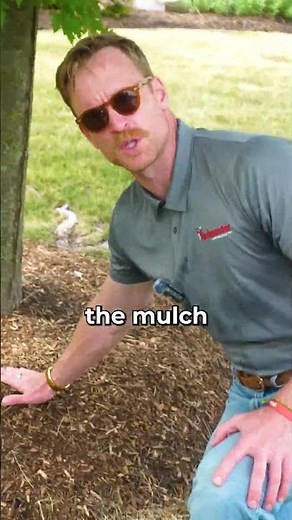 How to Mulch Around Trees the Right Way!
