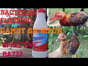 ZONROX PWEDENG GAMOT SA SIPON NG MANOK??