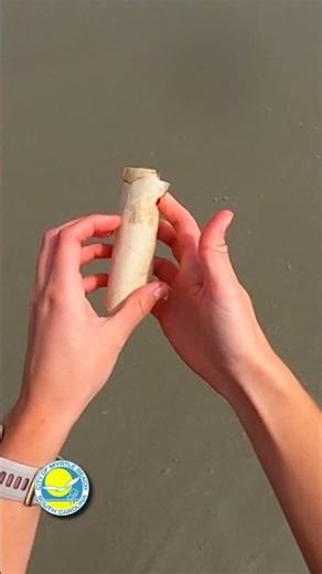 What's in the bottle?