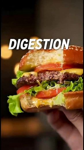 22K views · 66 reactions | Inside the Human Digestive system #ConceptionTips #healthcare #fblifestyle #healthylifestyle | BodyLogic 3D | Facebook