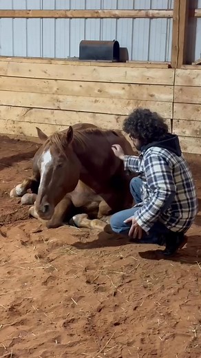 1.6K views · 59 reactions | Grand River Ranch on Reels | Facebook