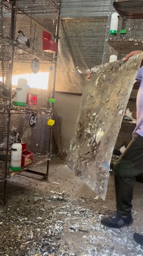 SYED SHAKEER on Instagram: "New update, plastic tray, Sistem sheets#instagram"