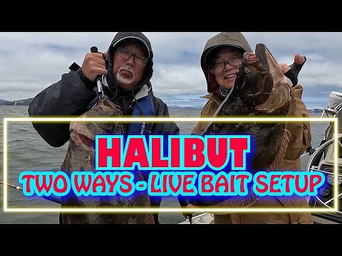 EASY Halibut Fishing with Live Bait - Setups & How to Find Them! (San Francisco Bay)