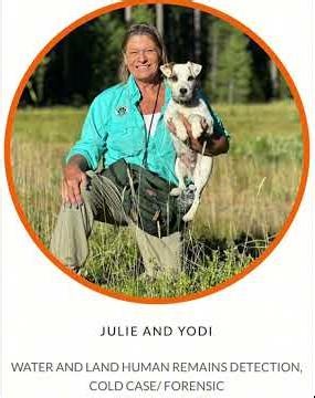 Cadaver dog handler Julie Gibson testified at Stacey's preliminary hearing! #michaelvaughan #justice