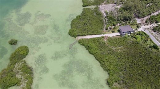 Windermere Island, Eleuthera, has been one of The Bahamas’ best kept secrets. The island's pristine shores have attracted royalty, the rich and famous, and those simply in search of privacy. Idyllic isles of lush landscaping and alluring beaches, separates the six-mile-long island from competitors in the Caribbean. Windermere is connected to the mainland by a small bridge - solidifying its exclusive ambiance. Contact us for available homes and vacant property on Windermere Island, the ultimate p