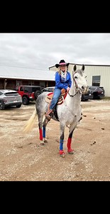 It’s Official Pandarosa Ranch and Happy Trails Cattle Co. are teaming up again to bring Pandarosa’s Mini Cattle (and a mini Wooly Donkey or 2) to Tioga, Texas, at the beautiful ranch of Randy and Mary Travis, for our 2nd Annual Sale! 📅 Date: May 2nd 📧 RSVP required: Please send your RSVP to pandarosasales@gmail.com | Pandarosa Miniature Ranch