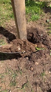 Asphalt Mastic and Bottle Trick | Motor Zone