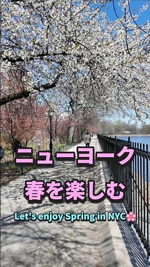 Enjoying spring in New York