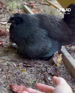 They just kept coming! 😮 | UNILAD