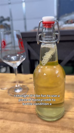 @mead.weaver on Instagram: "Experimental sparkling mead bottle conditioned with honeycomb #mead #meadmaking #honeywine"