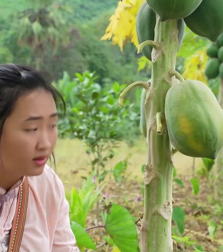 956 Why doesn't CEO Tuan dare to face the single mother, what is he plotting_ | Hard lifeshow