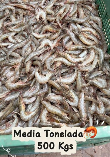 Pedido especial para @Mariscos “Doña Flavia”🦐 envíos a todo México🇲🇽📦 #envios #mariscos #camarones #mazatlan #fyp