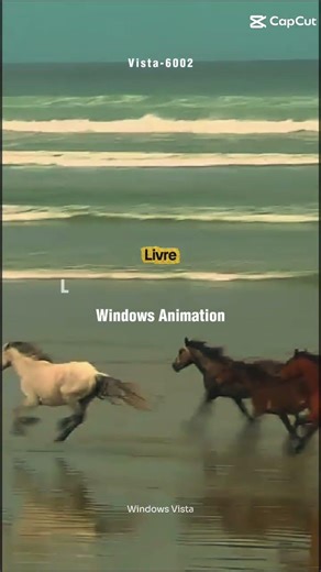 Books For Windows Vista all Day!