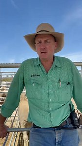 Wagga wagga sheep & lamb market report | Nutrien Livestock - Wagga Wagga NSW