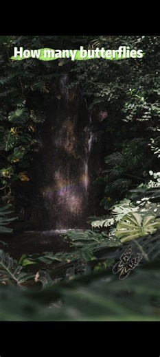 Find the Hidden Butterflies 🦋 | Only 1% Can Spot All! #ambientmusic
