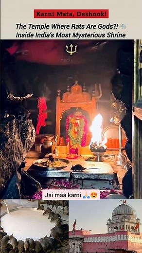 Karni Mata’s Miracle Temple 🛕Why Millions Worship Rats in Deshnok!