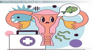 You must c C reate an account to continue watching