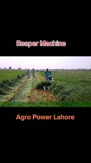 784K views · 10K reactions | Reaper Machine UAN: 03-111-125-100 | AGRO POWER | Facebook