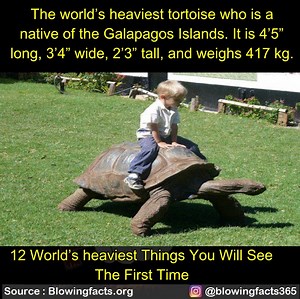 12 World's Heaviest Things | Facts that will blow your mind