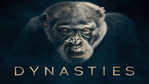 Dynasties (2018) | WatchDocumentaries.com