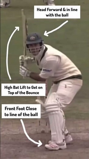 Ponting's Pull Shot Masterclass