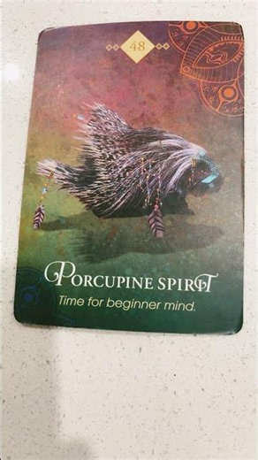 #831 Virgo - Spirit Animal Oracle Message