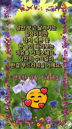 수요일 아침인사 | 건강하시고 행복하세요 ❤️ #카톡 #카톡인사 #안부인사 #기분좋은하루 #기분좋은아침 #건행 #나훈아노래