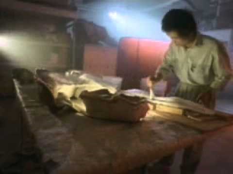 Los fósiles, documental discovery channel