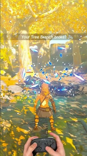Zelda TOTK Walkthrough Part 104 (Switch 2) #zelda #totk #zeldatotk #rauru #link