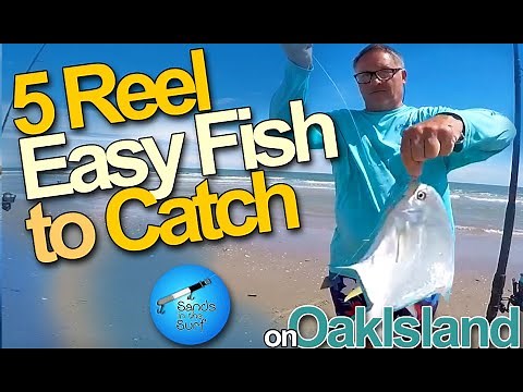5 Easy Fish to Catch on the Beach! Surf Fishing Oak island