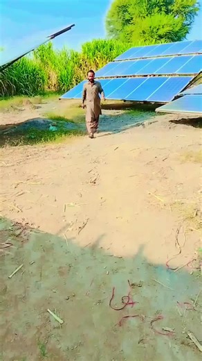 young urban dictionary (@young.urban.dictio)’s videos with original sound - Aqib Hajani