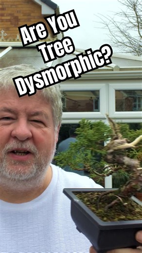 Bonsai: Do You Have Tree Dysmorphia?