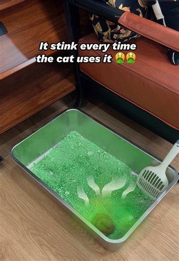Best Pet Products for Easy Cat Litter Cleanup