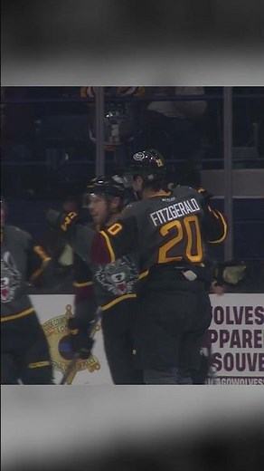 Chicago Wolves #20 Cavan Fitzgerald GOAL vs Iowa Wild #chicagowolves #hockey #wearethewolves