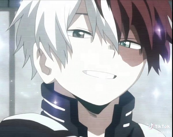 Shoto Todoroki Edit: My Hero Academia Highlights
