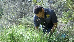 Walking on Aboriginal land - ABC Education