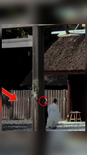 天照大御神のご加護と愛子さまの参拝