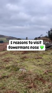 5 Reasons to visit Bowermans Nose 💚🫶 #dartmoornationalpark #5reasons #nature | Dartmoor National Park