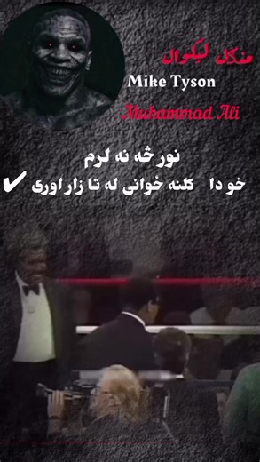 Boxing Day 2021 Highlights and Trends