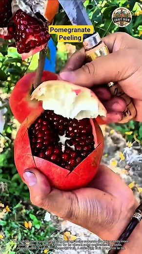 Pomegranate Peeling Tip: Easy Way to Enjoy Autumn’s Favorite 🍎✨