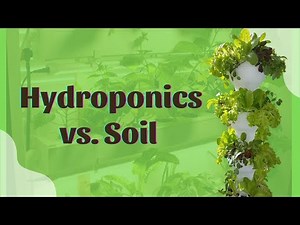 Hydroponics vs. Soil - Chapter 2