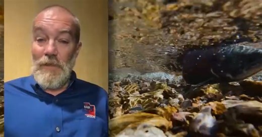 Here's how drought shrunk Utah's fish stocking by 1 million